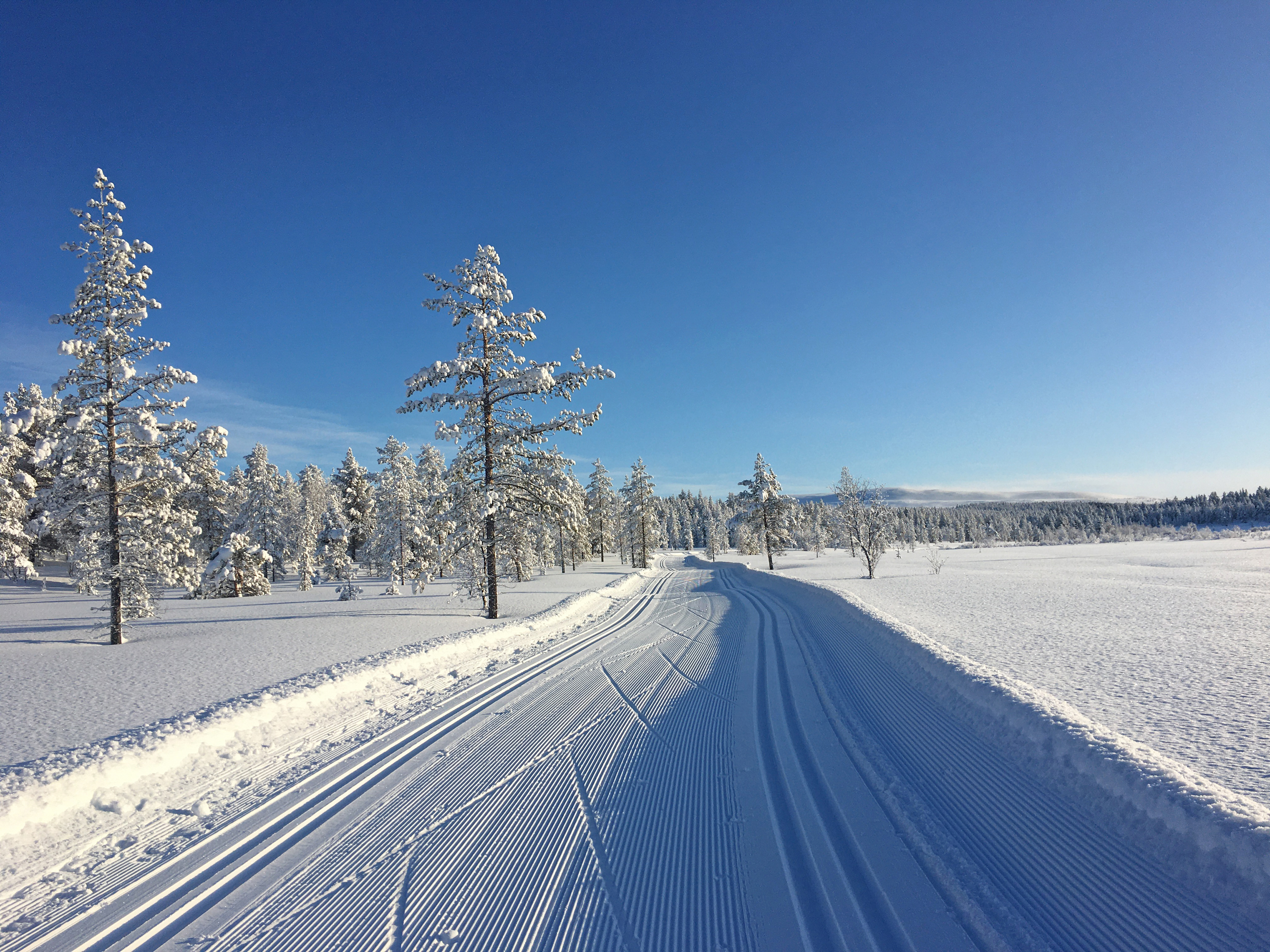 Skilanglauf